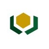 ͪ(GMP)(ƽ)