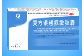复方银翘氨敏胶囊